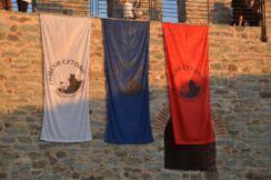 69457650_2036409896465322_3430023357179887616_n